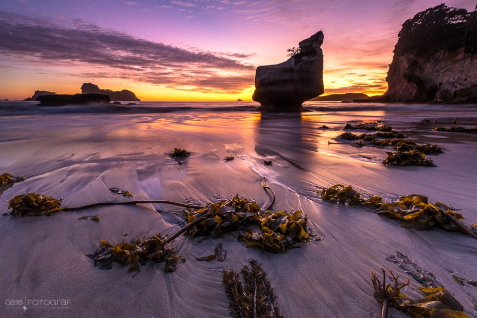 Coromandel, Cathedral Cove, Neuseeland, Sonnenaufgang, Beach, Seegras
