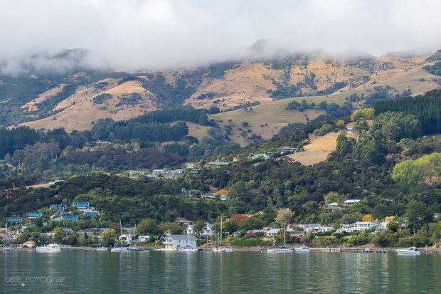 Akaroa, Canterbury, Halbinsel, Südinsel Neuseeland, meeresbucht,